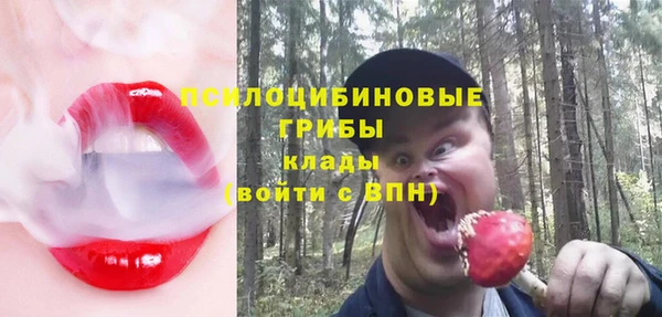 apvp Алексеевка