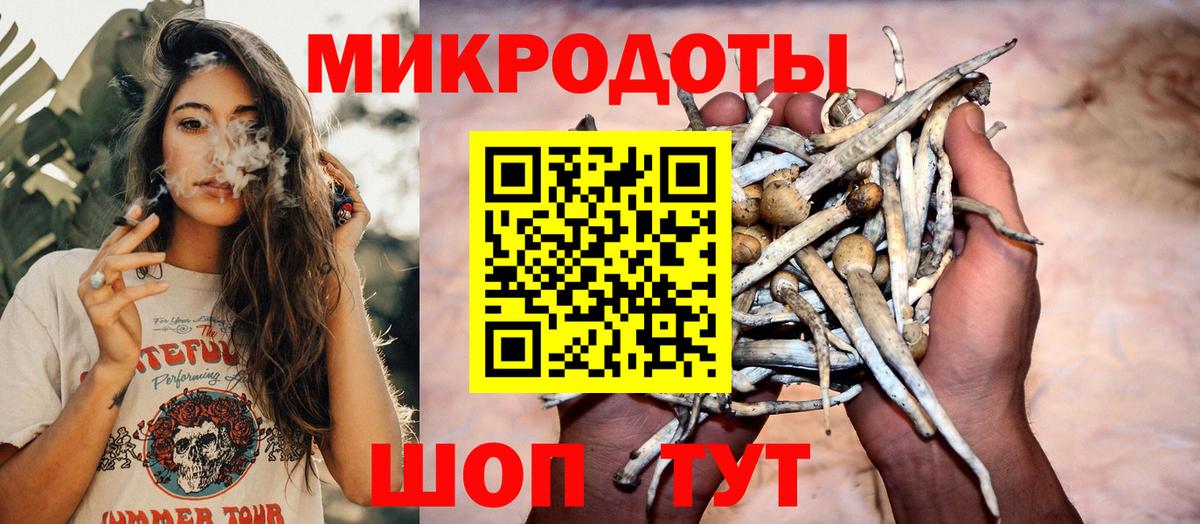 Галлюциногенные грибы GOLDEN TEACHER  закладка  Керчь  Вход с VPN 